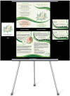 Grace-Yoga | Power Marketing International Grace-Yoga
